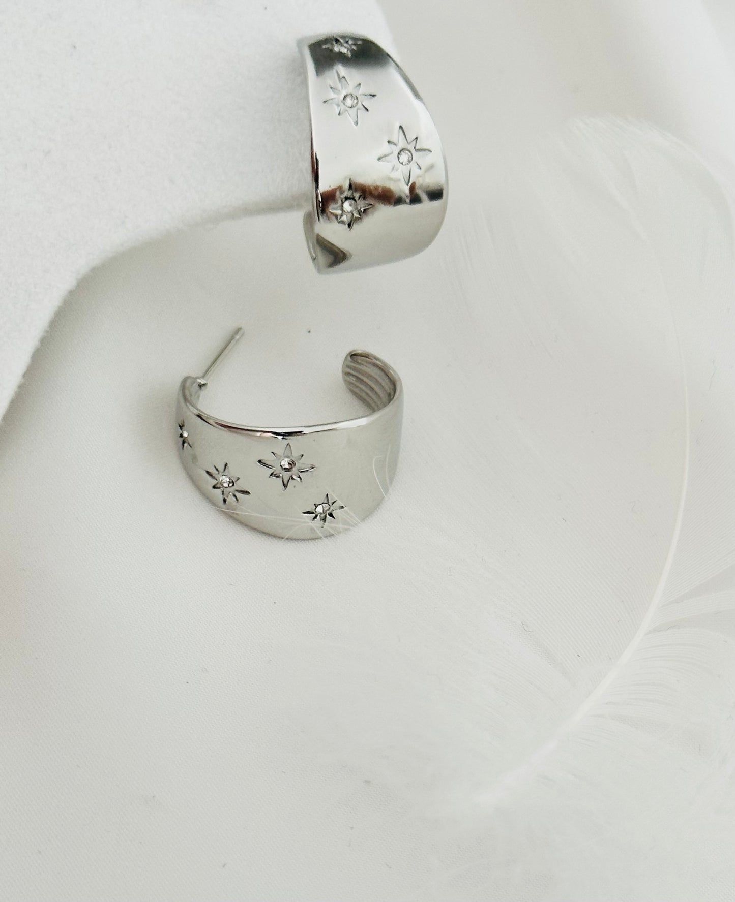 Boucle d'Oreilles Acier Inoxydable