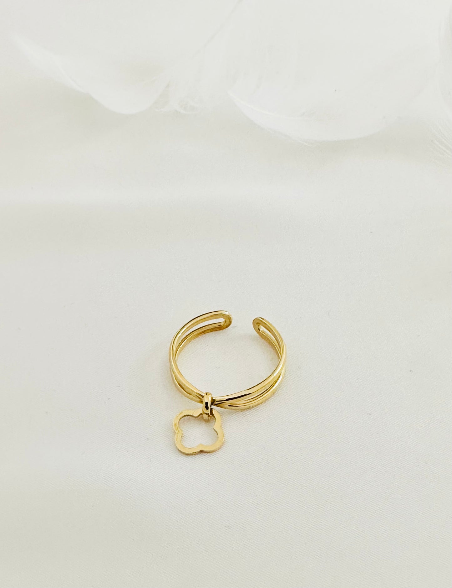 Bague Acier Inoxydable