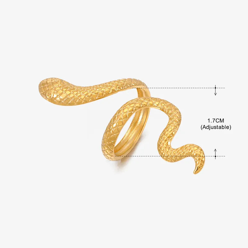Bague serpent Acier Inoxydable