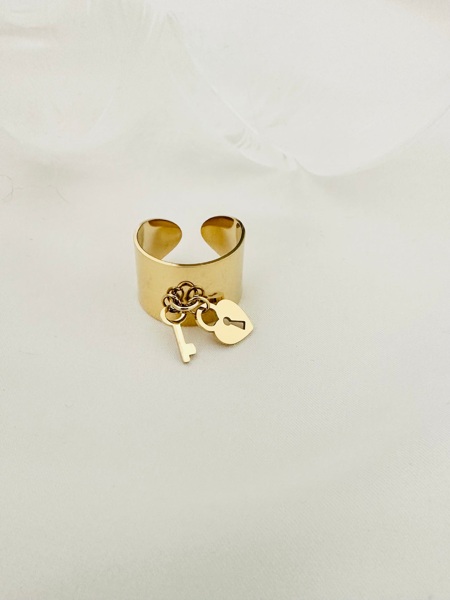 Bague Acier Inoxydable