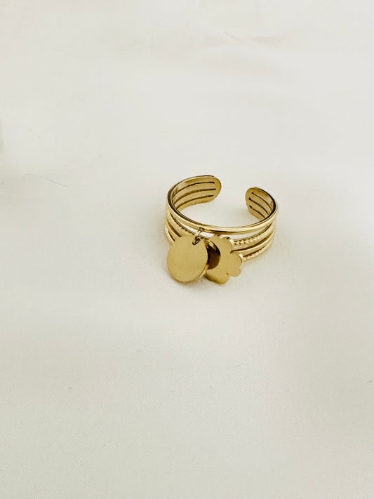 Bague Acier Inoxydable