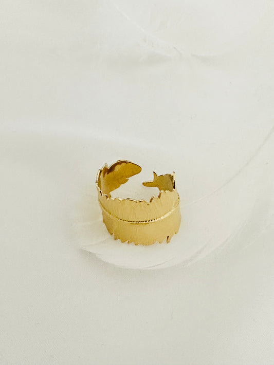 Bague Acier Inoxydable
