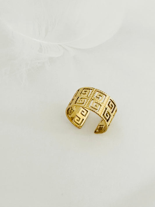 Bague Acier Inoxydable