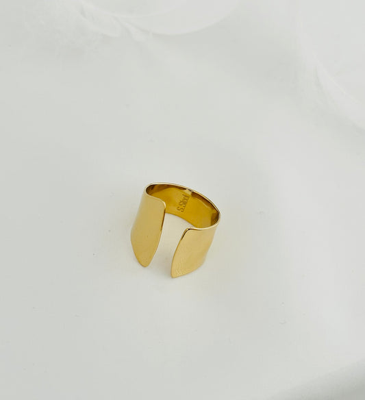 Bague Acier Inoxydable
