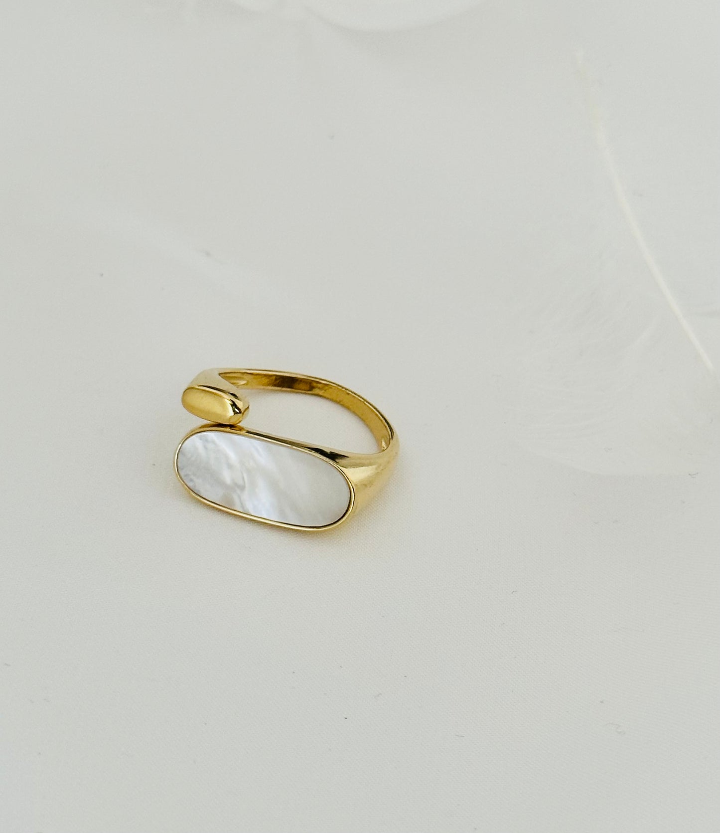 Bague Acier Inoxydable