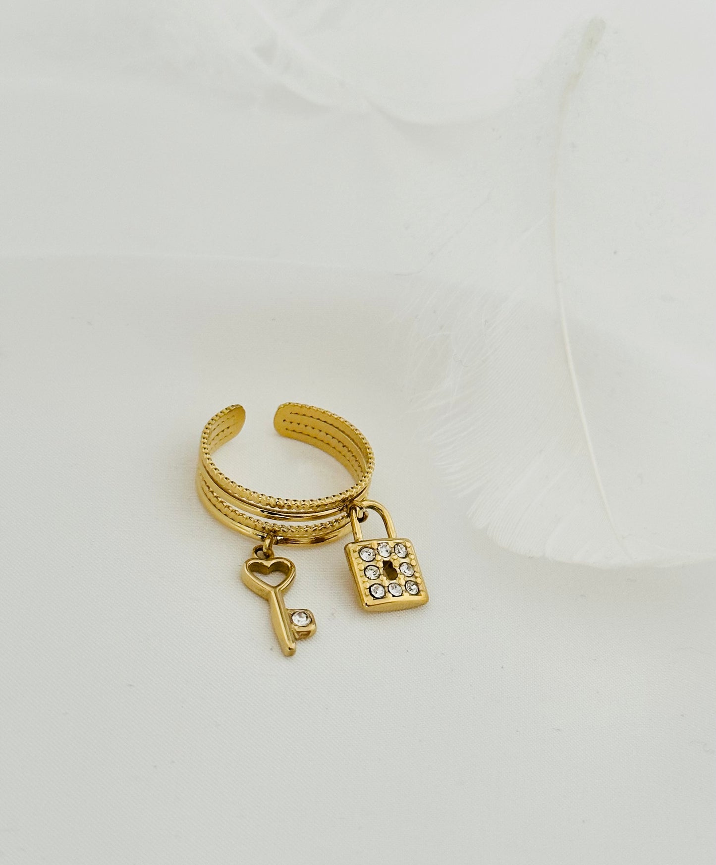 Bague Acier Inoxydable