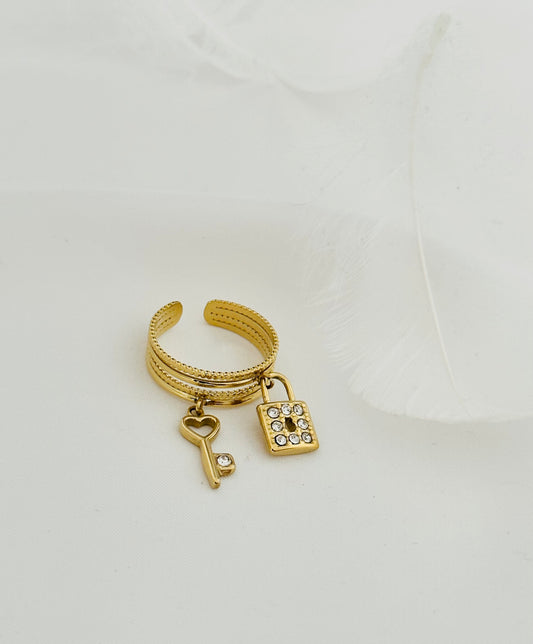Bague Acier Inoxydable