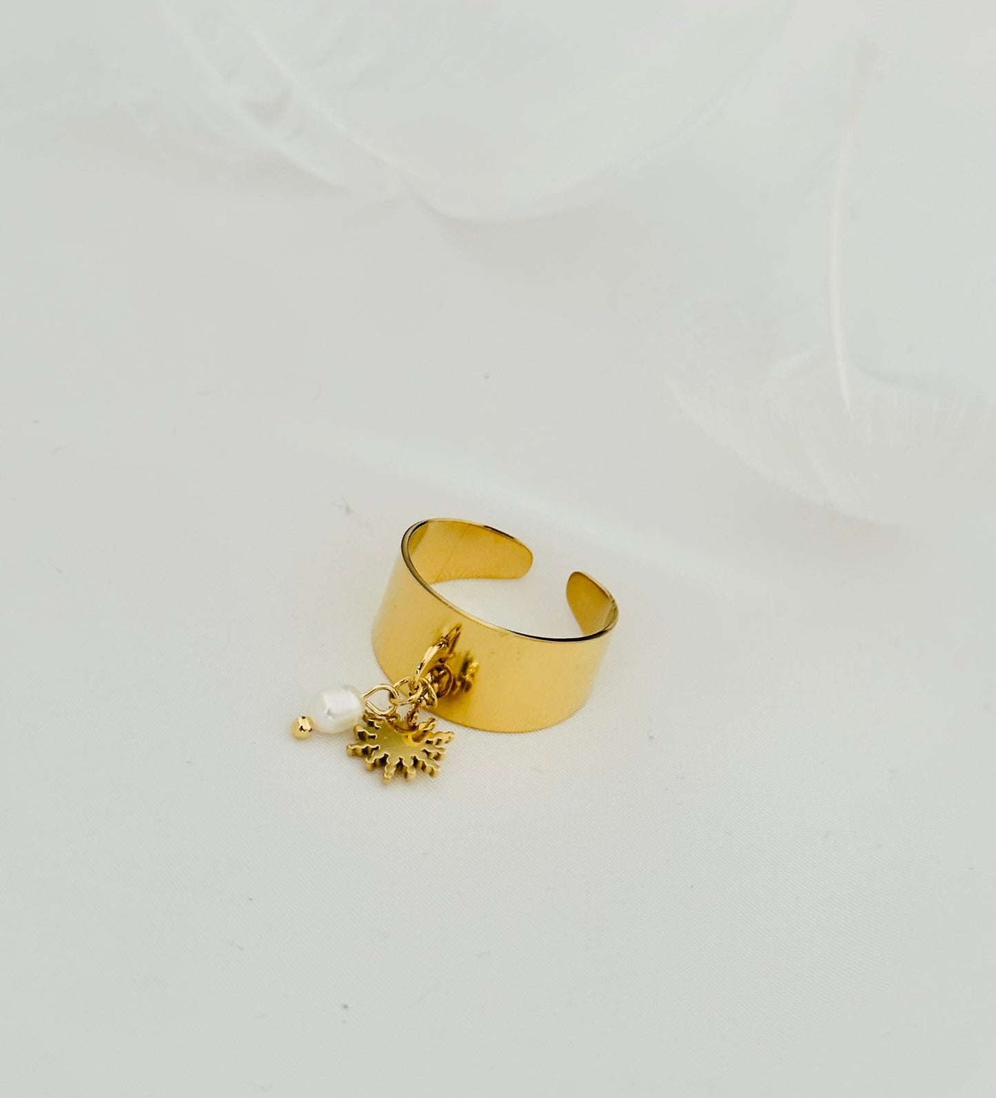 Bague Acier Inoxydable