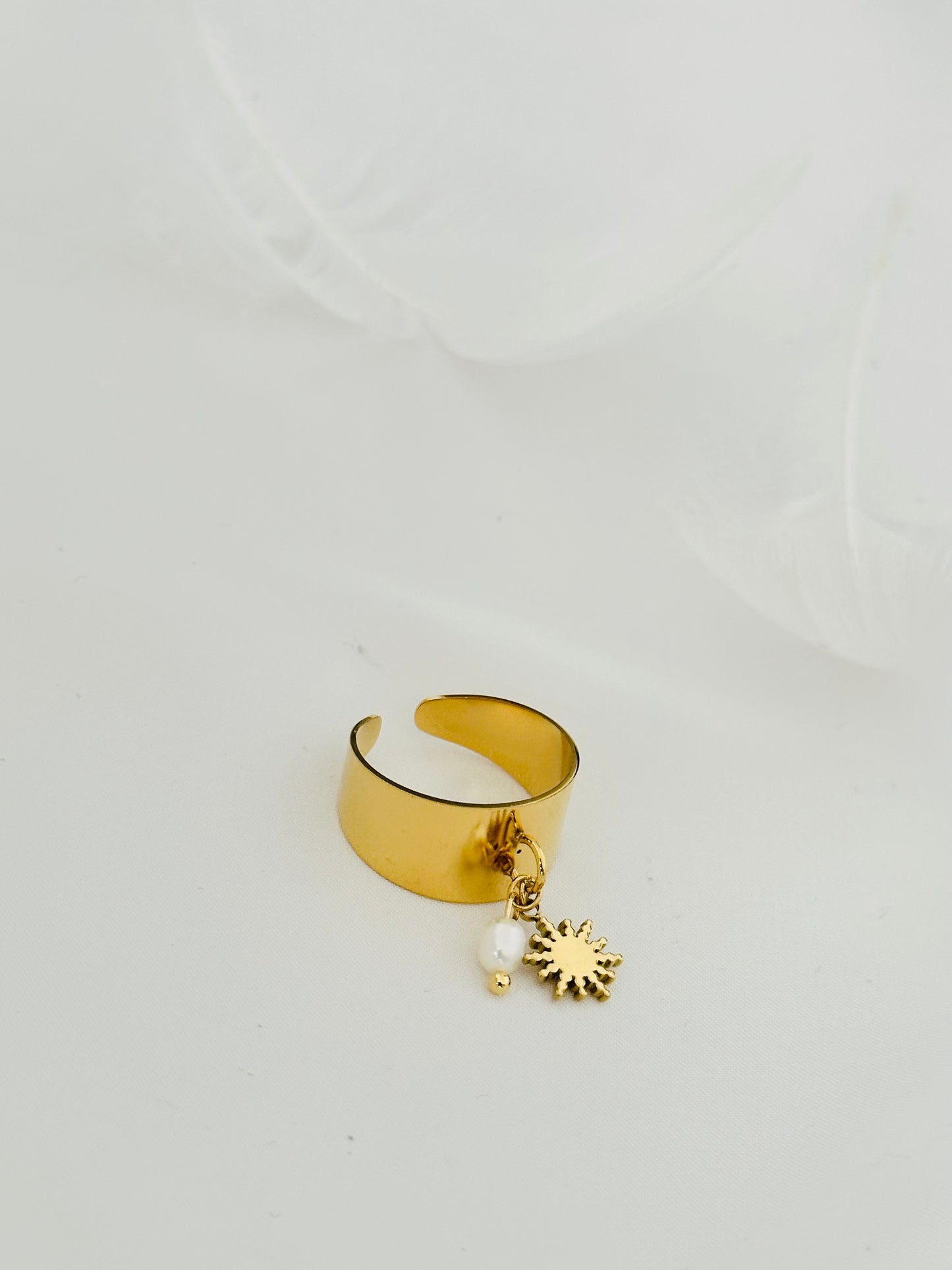 Bague Acier Inoxydable