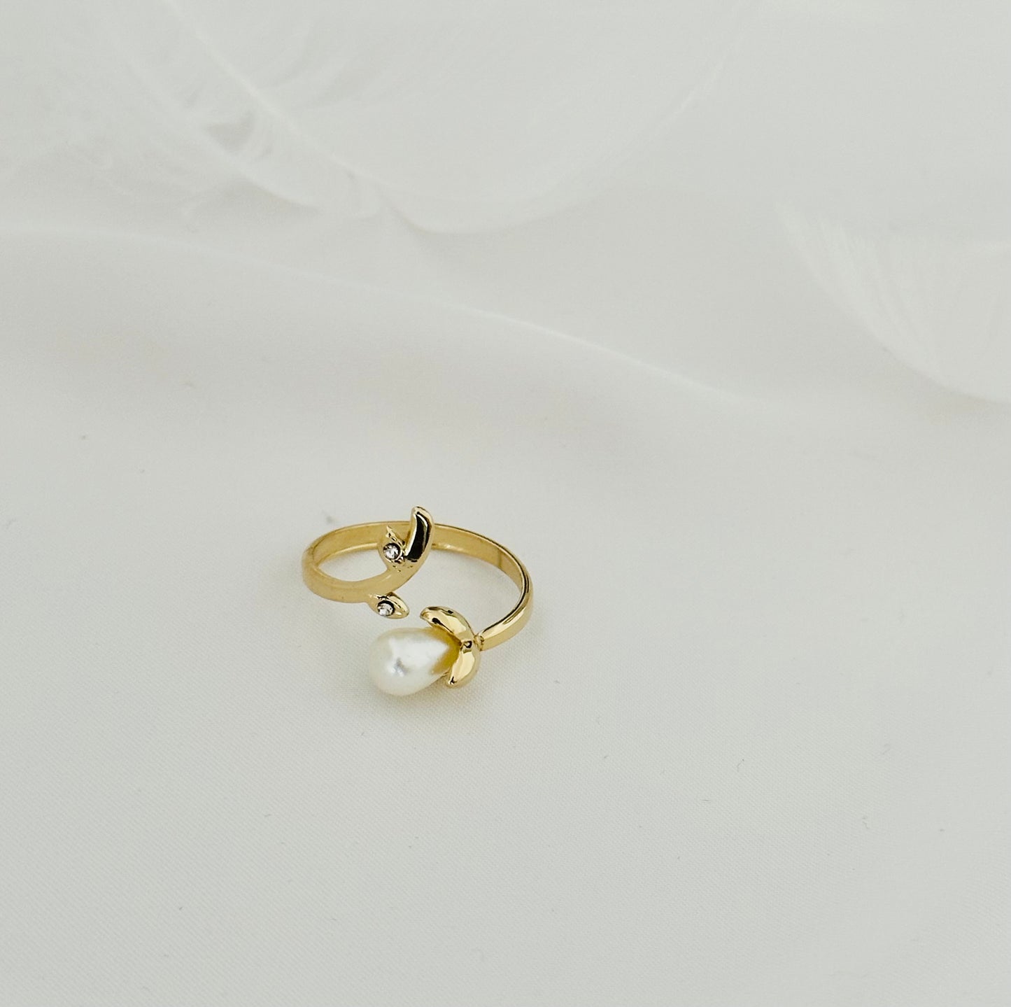 Bague Acier Inoxydable
