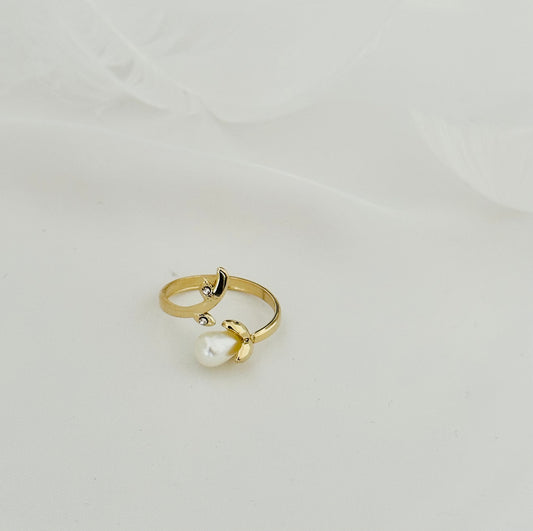 Bague Acier Inoxydable