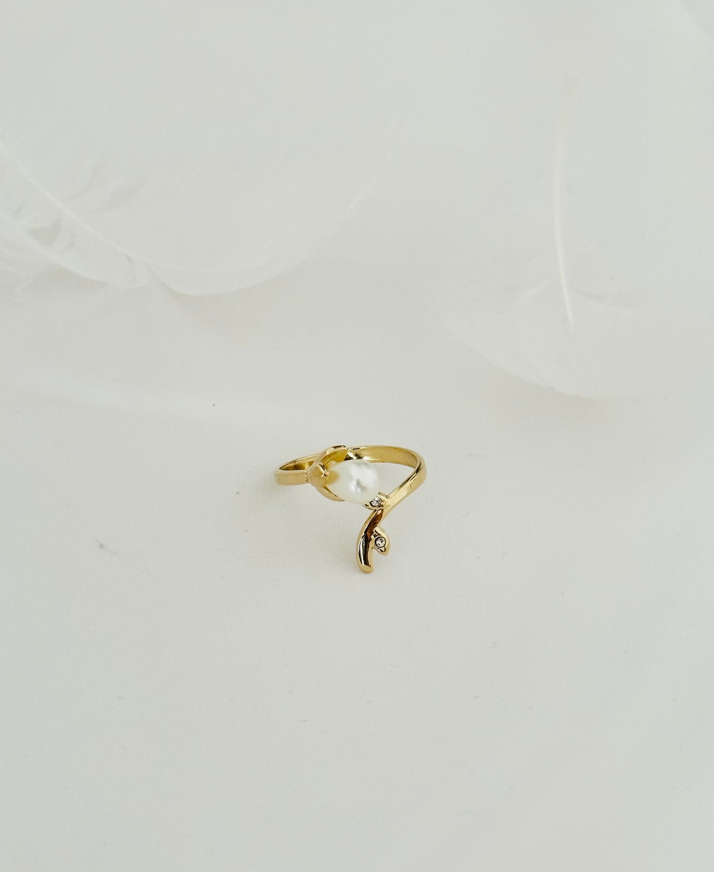 Bague Acier Inoxydable