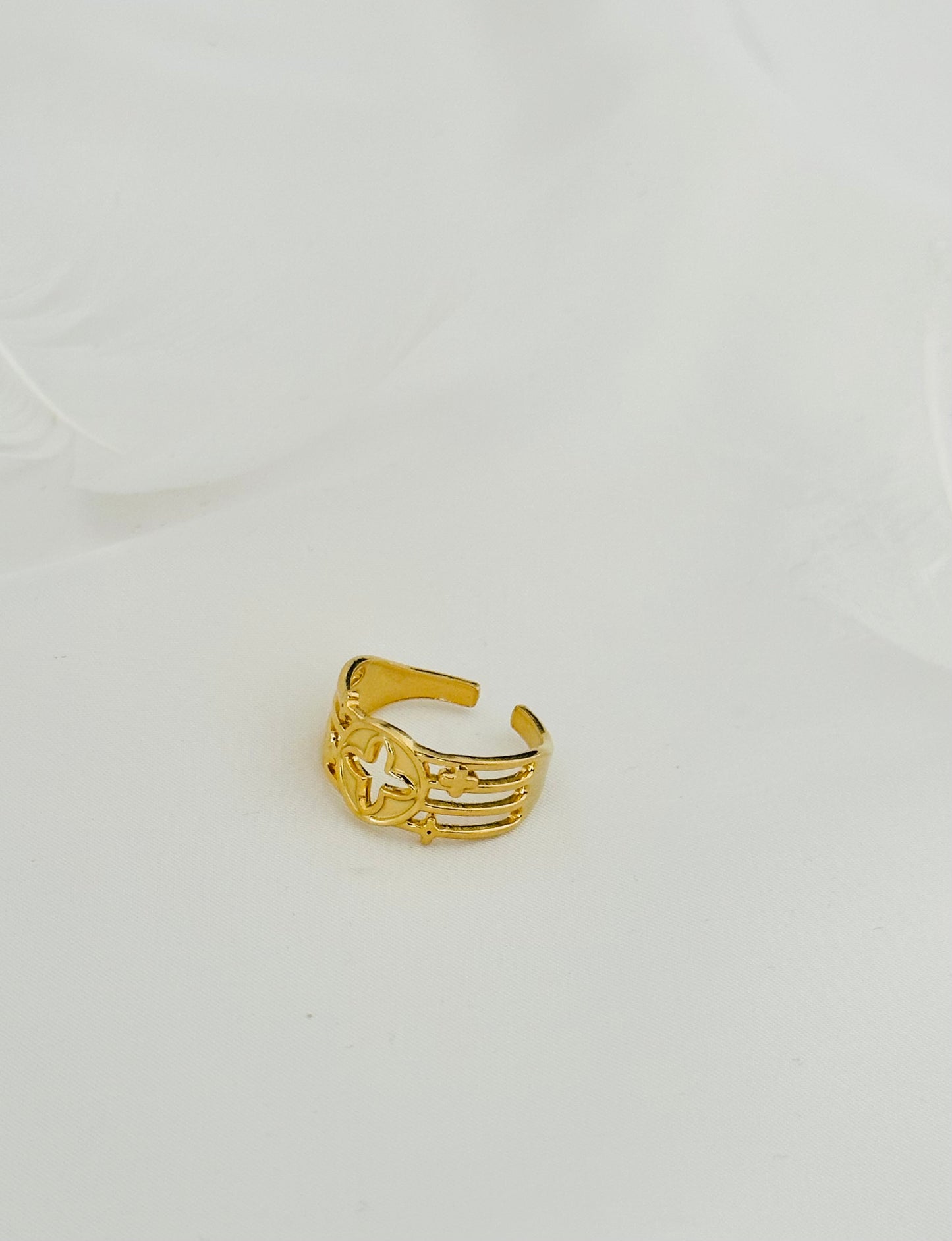 Bague Acier Inoxydable