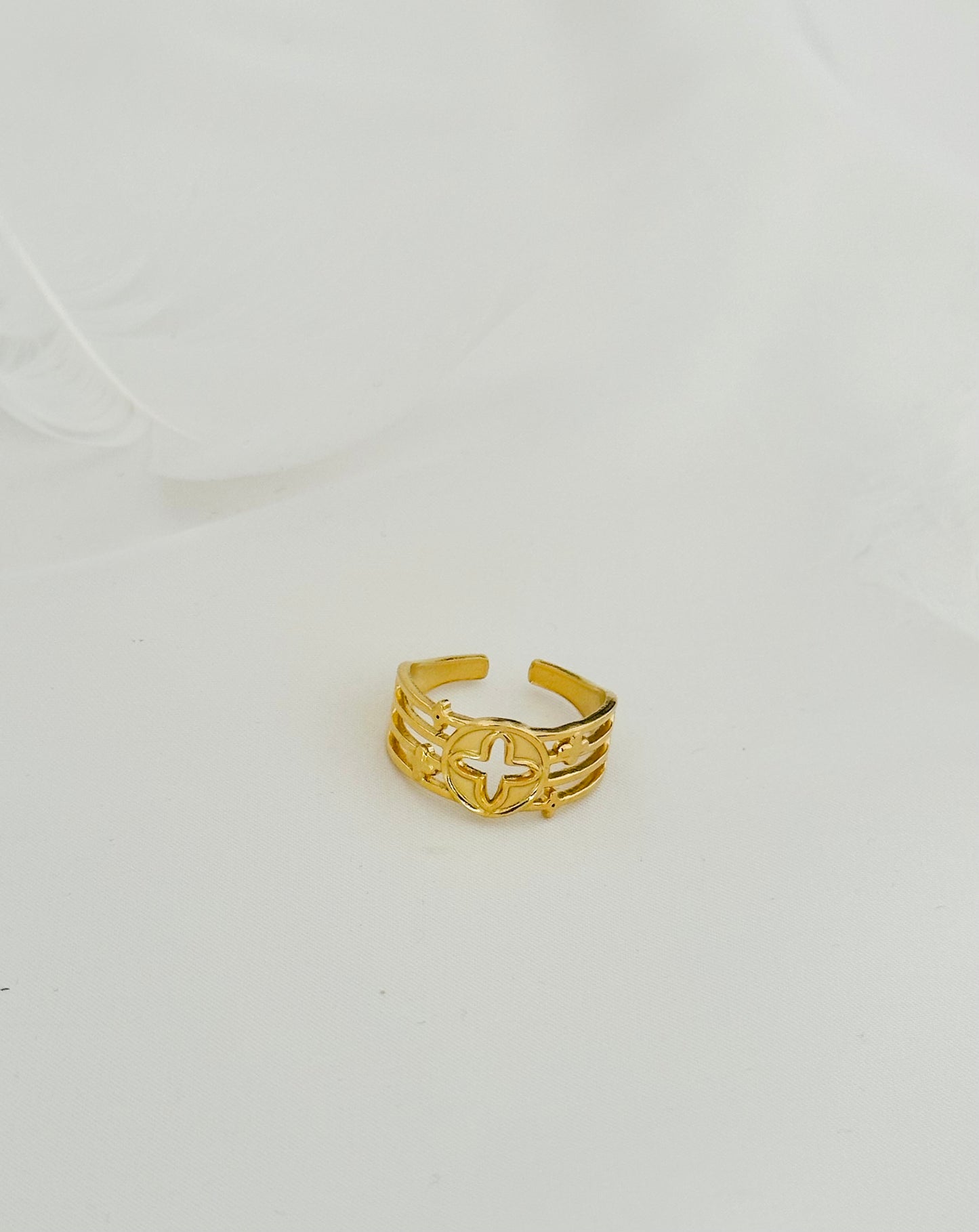 Bague Acier Inoxydable
