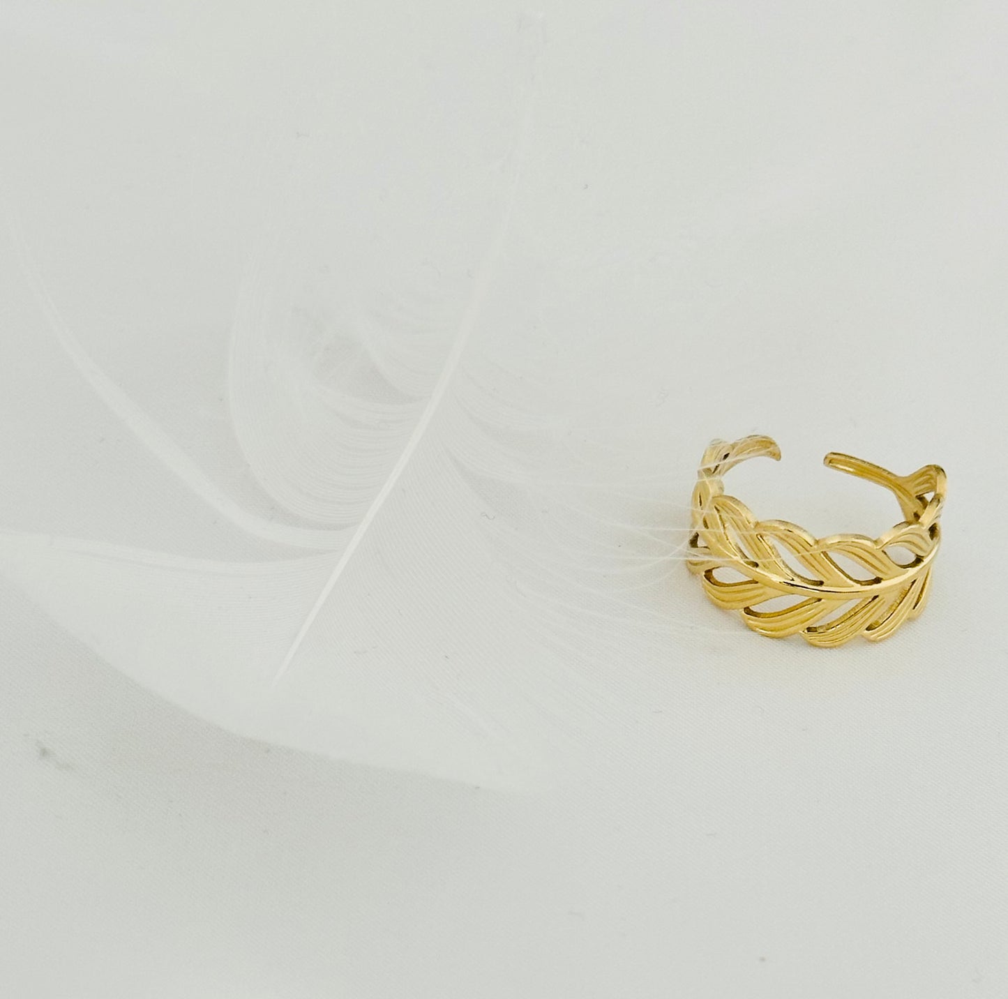 Bague Acier Inoxydable