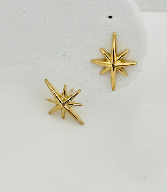 Boucle D'Oreille Acier Inoxydable